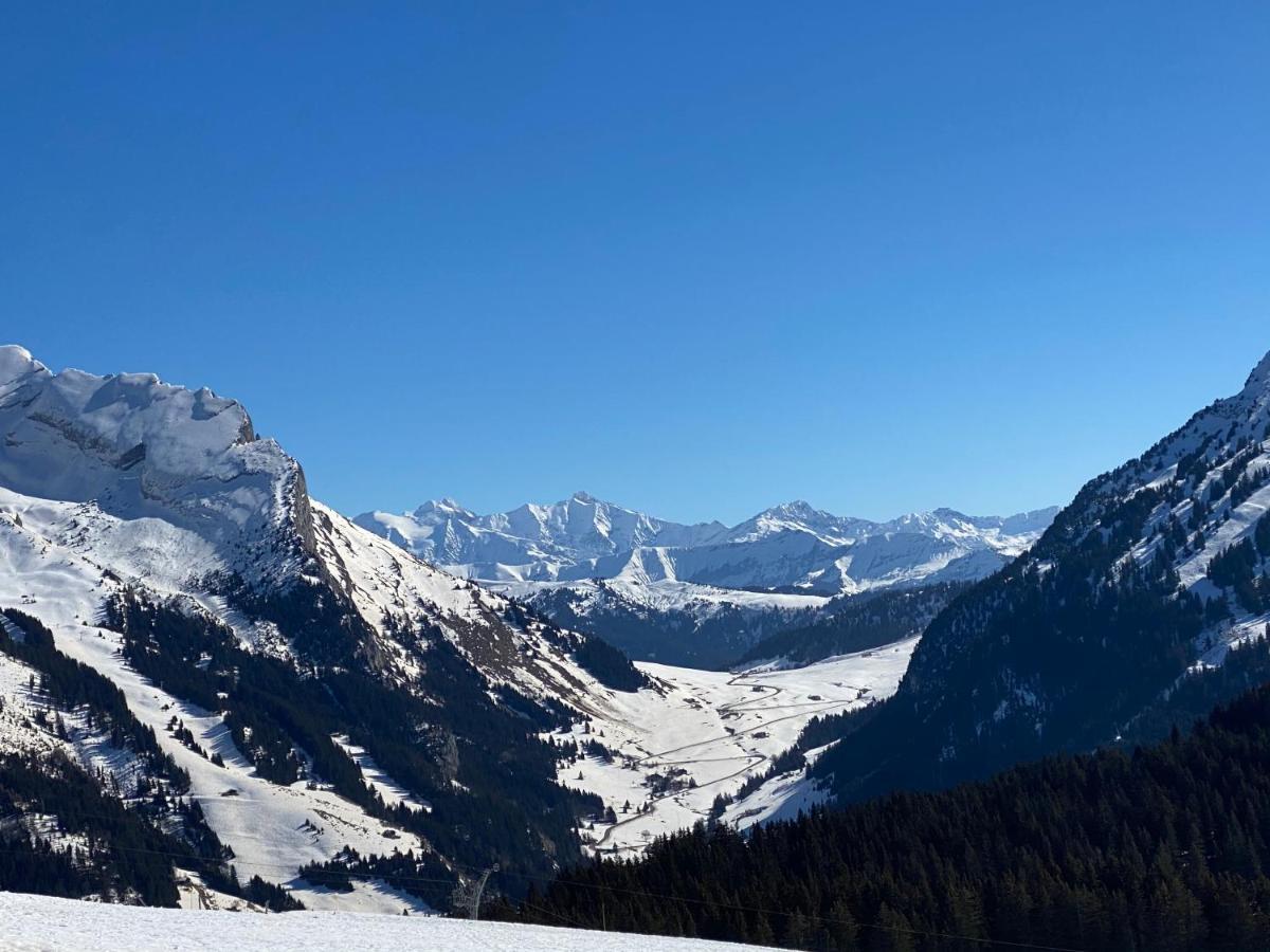 Les Bouquetins Leilighet La Clusaz Eksteriør bilde