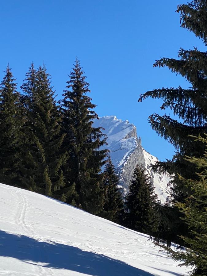 Les Bouquetins Leilighet La Clusaz Eksteriør bilde