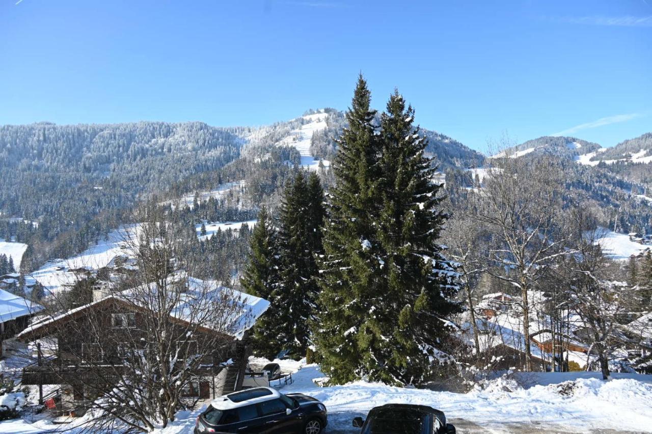 Les Bouquetins Leilighet La Clusaz Eksteriør bilde
