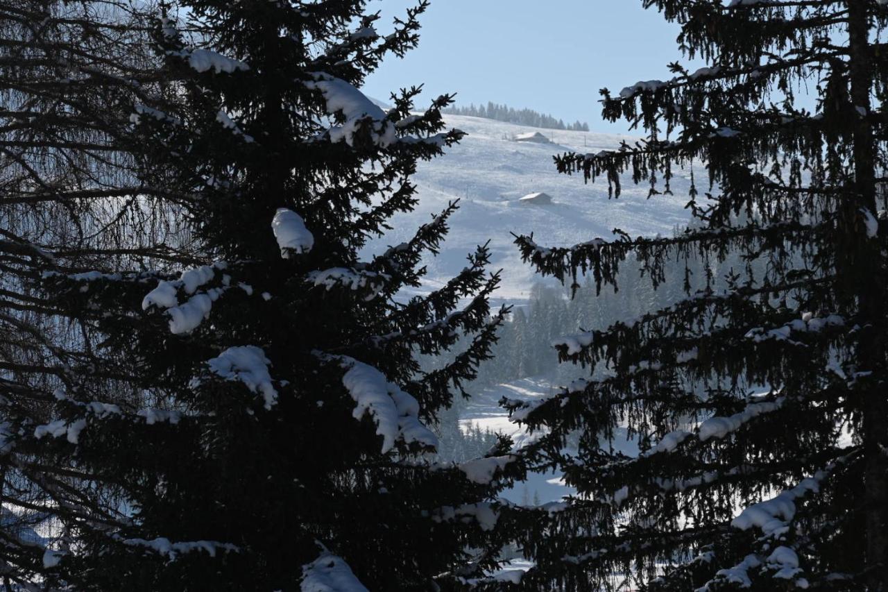 Les Bouquetins Leilighet La Clusaz Eksteriør bilde