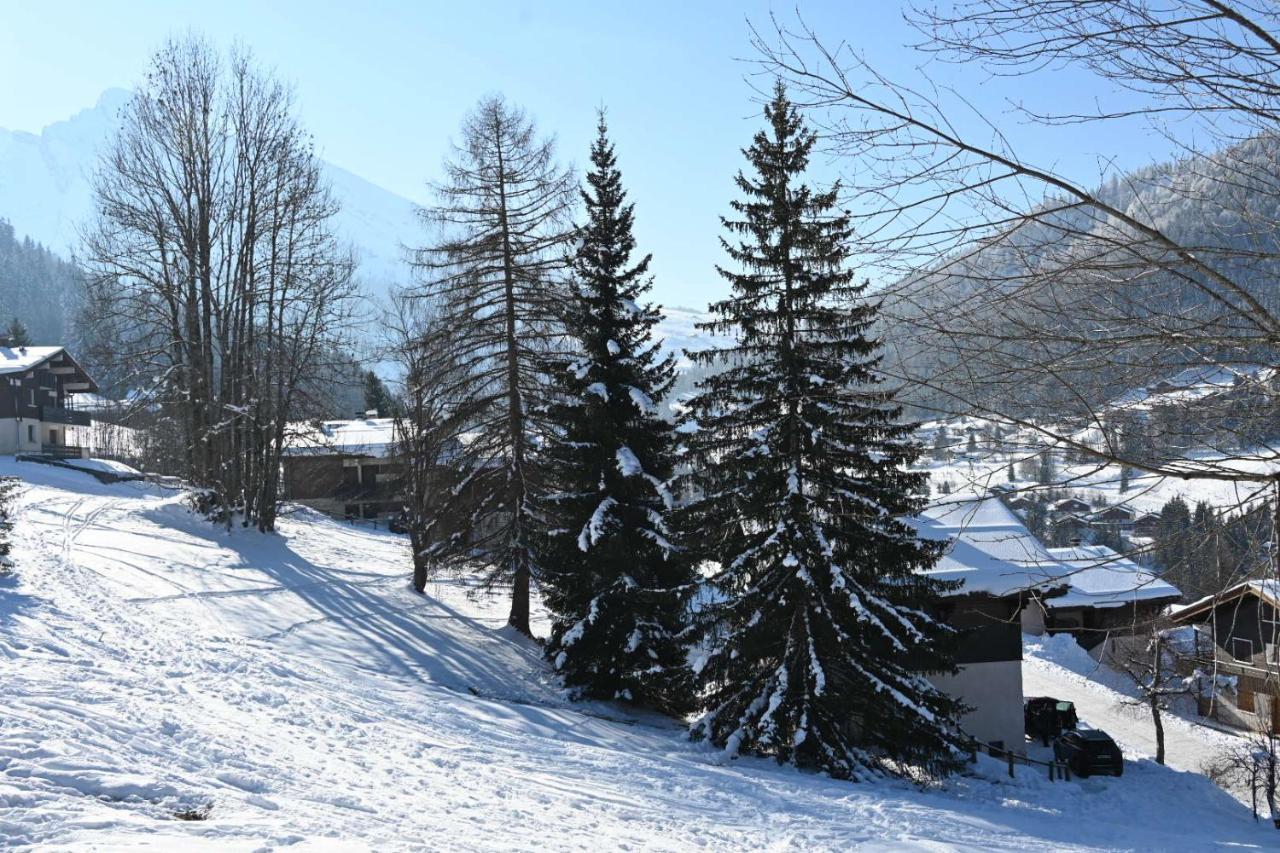 Les Bouquetins Leilighet La Clusaz Eksteriør bilde