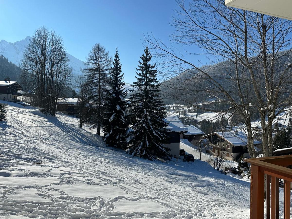 Les Bouquetins Leilighet La Clusaz Eksteriør bilde